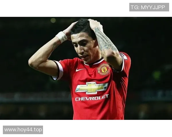 今日体育快讯：转会、伤病、战报一网打尽